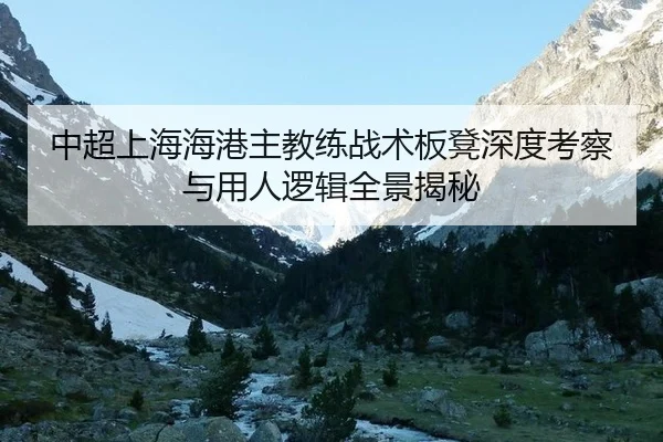 中超上海海港主教练战术板凳深度考察与用人逻辑全景揭秘