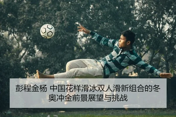 peng-cheng-jin-yang-zhong-guo-hua-yang-hua-bing-shuang-ren-hua-xin-zu-he-de-dong-ao-chong-jin-qian-jing-zhan-wang-yu-2-982.jpg